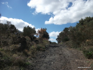 otta san Nicola-13-09-2013 15-00-10